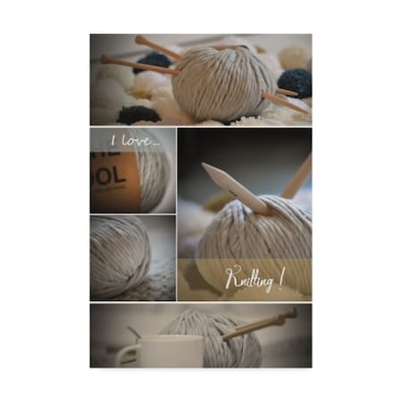 Christine Sainte-Laudy 'I Love Knitting' Canvas Art,30x47